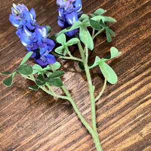 May include: A bouquet of blue Texas bluebonnet flowers with green leaves on a brown wooden background.