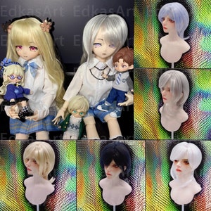 5 Farben Puppenperücke Puppenhaar 1/3 1/4 1/6 BJD lange Perücke für SD Msd YOSD Puppenzubehör, Haariger Wolfsschwanzhaar für Puppen, Geschenk für Puppe