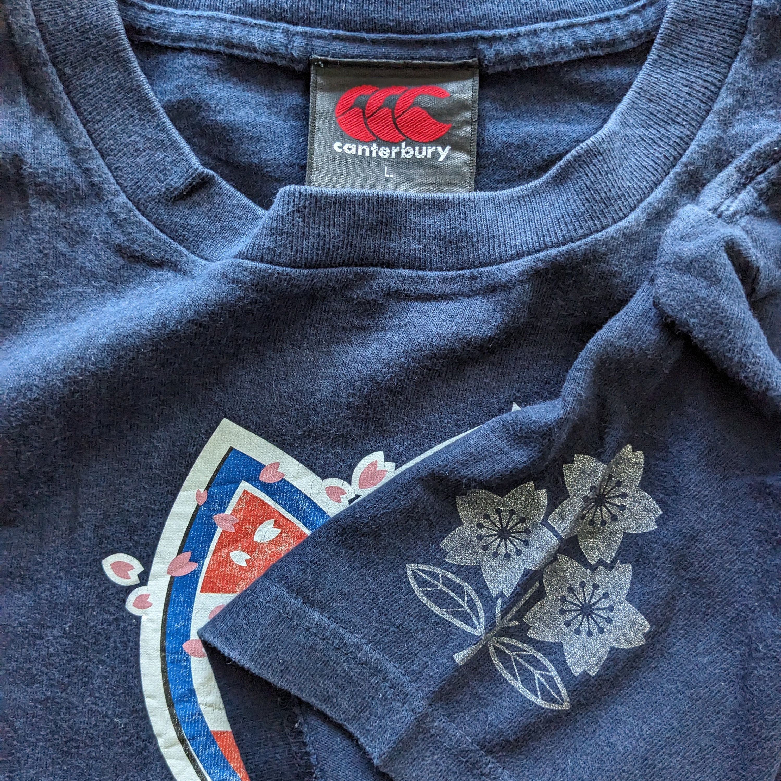 Vintage 90's Astro Boy Japanese Anime X Canterbury Japan