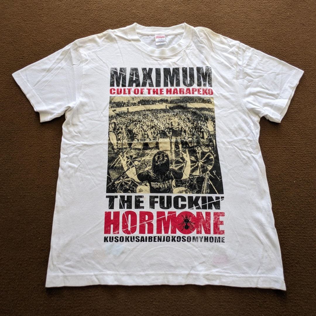 Vintage Maximum the Hormone Metal Band T-shirt - Etsy