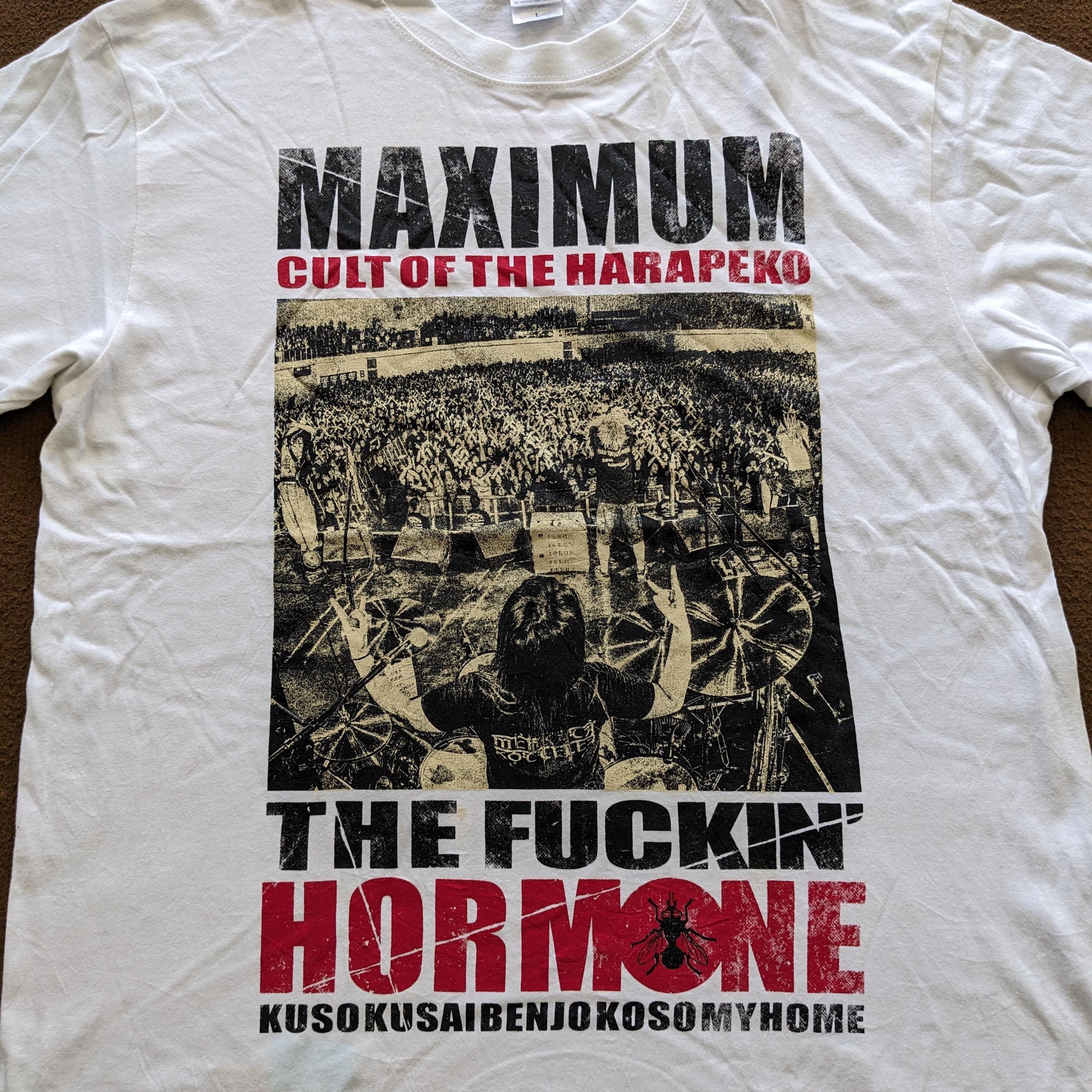 Vintage Maximum the Hormone Metal Band T-shirt - Etsy