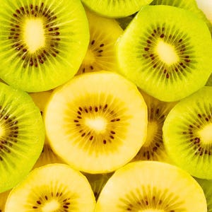 May include: A collection of sliced kiwi fruit arranged in a dense pattern. The slices display vibrant lime green and pale yellow flesh with small, dark black seeds radiating from the centre of each piece, creating a bright, textured composition.