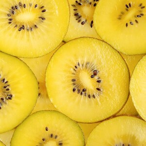 May include: A collection of sliced golden kiwi fruit arranged in a dense pattern. Each circular slice displays a vibrant yellow flesh with a central white core and a ring of small, dark black seeds embedded within the juicy, textured fruit pulp.
