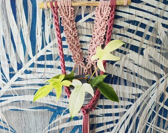 Bloemen Macrame Plant Hanger, Boho Room Decor, Handgemaakte natuurlijke wanddecoratie met drijfhout, Plant Mom Gift, Eclectische Plant Decoratie