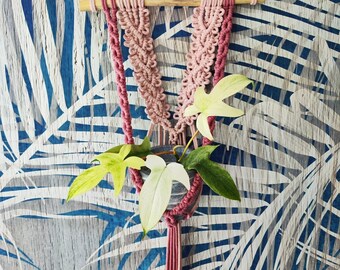 Macrame PATTERN - Flowers Plant Hanger Tutorial, written PDF with Pictures and Knots Guide, friendly for Beginners, digital download