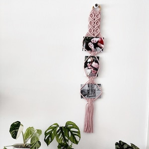 May include: A pink macramé photo display hanging on a white wall, holding three framed photos. Below, three potted plants sit on a white surface: a variegated plant in a white pot, a Swiss cheese plant, and a silver dragon plant in a blue pot.