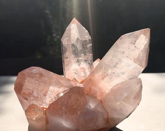 ヒマラヤ水晶クラスター｜天然ピンクヒマラヤ水晶｜コレクター向け鉱物