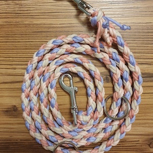Puede incluir: Correa trenzada para perros en colores pastel rosa, azul y crema. La correa está enrollada sobre una superficie de madera y presenta un mosquetón y anillos de metal plateado. La correa está hecha de un material tejido duradero.