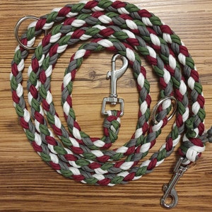 Puede incluir: Una correa para perro trenzada con cuerda roja, blanca y verde. La correa tiene dos clips metálicos y un anillo metálico.
