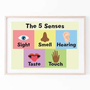Póster de los 5 sentidos para niños - Descarga instantánea