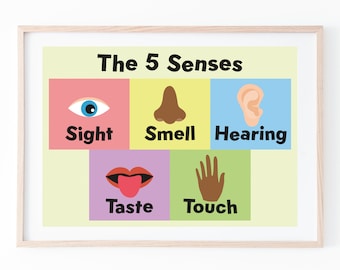 Children's 5 Senses Poster - Instant Download