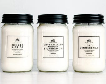 Peach Mango Scent: Farmhouse 8 oz, 16 oz Mason Jar 100% Soy Candles