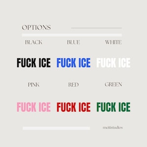 K&ouml;nnte beinhalten: Grafikdesign mit dem Text "FUCK ICE" in Schwarz, Blau, Wei&szlig;, Rosa, Rot und Gr&uuml;n. Das Wort "OPTIONS" steht oben, mit "meitistudios" unten.