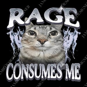 Rage Consumes Me Cat png, Funny Cat Meme png, Vintage Unhinged Cat Digital, Silly Cat png, Weird Humor Unisex png