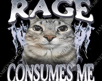 Rage Consumes Me Cat png, Funny Cat Meme png, Vintage Unhinged Cat Digital, Silly Cat png, Weird Humor Unisex png