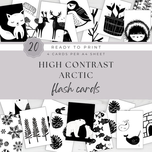 High Contrast Sensory Flashcards for Baby Arctic Theme Digital Download Montessori Activity for Babies Print at Home Instant Download DIY