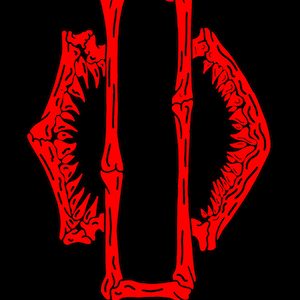 May include: Red skeletal jawbones with teeth, forming a symmetrical design on a black background.