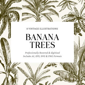 Op de afbeelding: Een illustratie met acht vintage ontwerpen van bananenbomen in sepia. De afbeelding bevat de tekst "BANANA TREES" en "8 VINTAGE ILLUSTRATIONS". De illustraties zijn professioneel gerestaureerd en gedigitaliseerd.