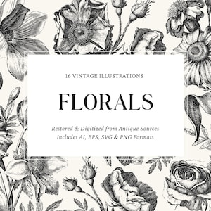 May include: A collection of black and white floral illustrations featuring various flowers, such as roses and poppies. The image includes the text "FLORALS" and "16 VINTAGE ILLUSTRATIONS". The illustrations are restored and digitized from antique sources.