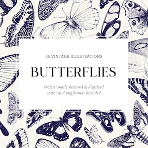 Vintage Butterfly Engravings  Vector Bundle for Crafts and Design  Includes 35 PNG and SVG Files