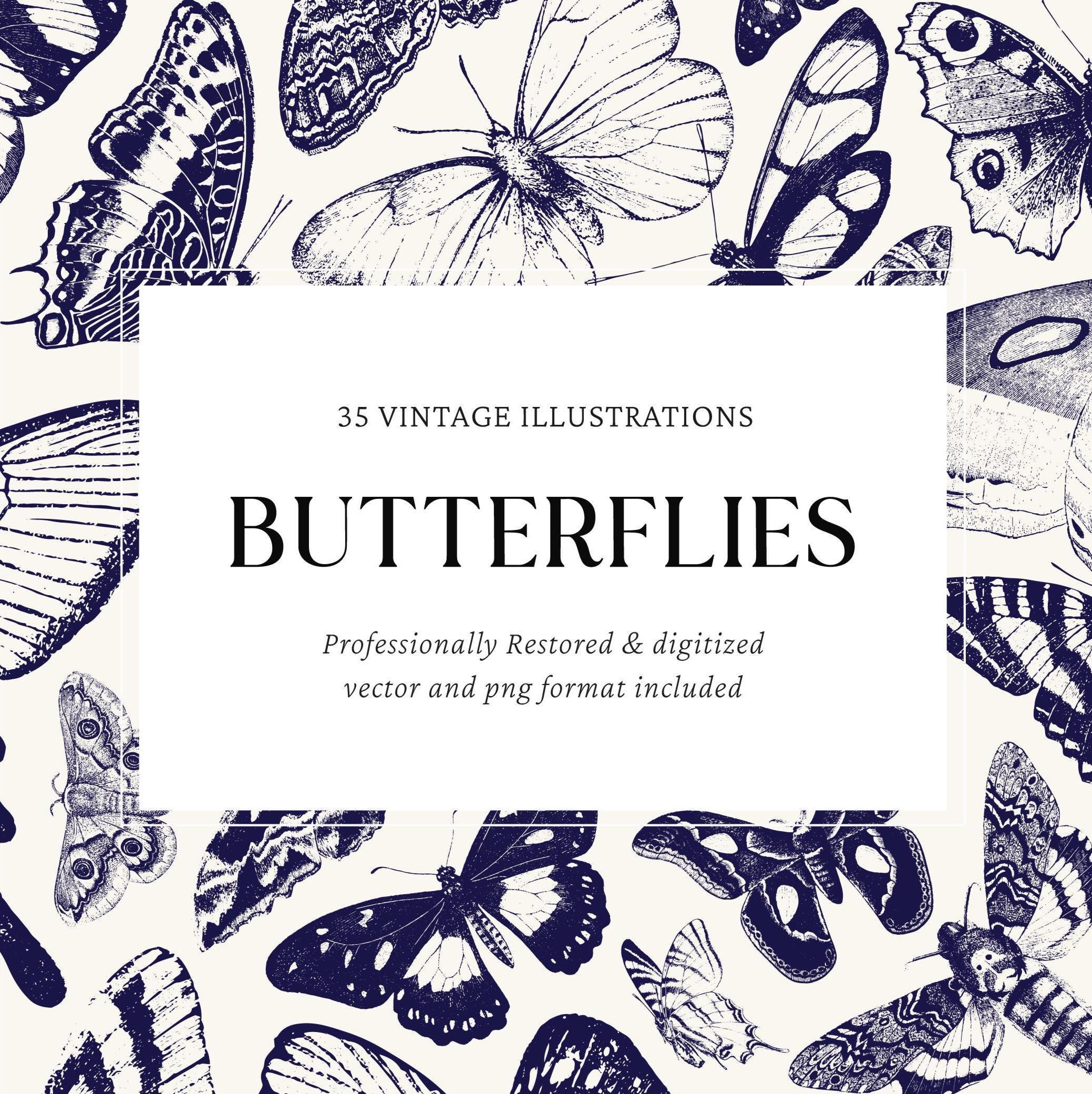 Vintage Butterfly Engravings Vector Bundle for Crafts and Design Includes 35 PNG and SVG Files
