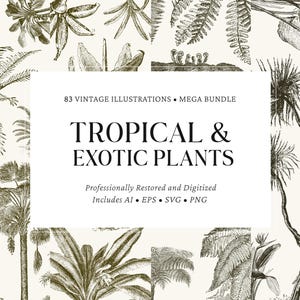 Op de afbeelding: Een vintage illustratie van tropische en exotische planten, waaronder palmbomen en varens. De afbeelding bevat de tekst "TROPICAL & EXOTIC PLANTS" en "83 VINTAGE ILLUSTRATIONS MEGA BUNDLE". Professioneel gerestaureerd en gedigitaliseerd.