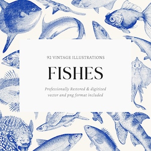 Vintage Fish Engravings – 92 PNG & SVG Vector Illustrations for Graphic Design, Crafts and Printables