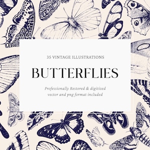 Vintage Butterfly Engravings  Vector Bundle for Crafts and Design  Includes 35 PNG and SVG Files