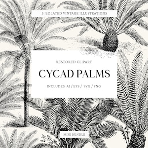 Mini paquete: 5 ilustraciones de palmeras vintage (AI, SVG, PNG, EPS)