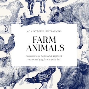 Ilustraciones vectoriales de grabados de animales de granja vintage: 40 archivos PNG y SVG para manualidades, diseño gráfico y proyectos de bricolaje