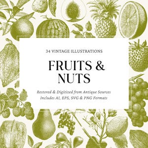 Op de afbeelding: Vintage-illustratie met diverse vruchten en noten in groentinten. De afbeelding bevat een ananas, een sinaasappelschijf en druiven. Tekst op de afbeelding luidt "FRUITS & NUTS" en "34 VINTAGE ILLUSTRATIONS".