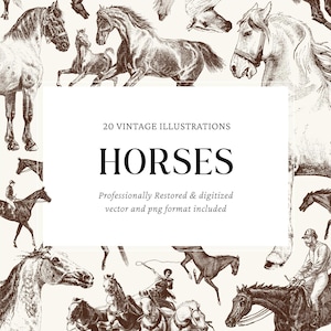 Vintage Horse Engraving Vector Illustrations - 20 PNG and SVG Files for Crafts, Graphic Design and DIY Projects