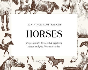 Illustrazioni vettoriali di incisione di cavalli d'epoca - 20 file PNG e SVG per progetti di artigianato, grafica e fai da te