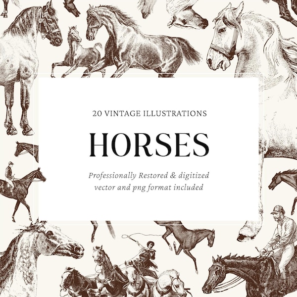 Ilustraciones vectoriales de grabados de caballos antiguos: 20 archivos PNG y SVG para manualidades, diseño gráfico y proyectos de bricolaje