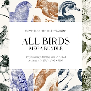Op de afbeelding: Vintage vogelillustraties in blauw, bruin en zwart. De tekst "ALL BIRDS MEGA BUNDLE" is prominent weergegeven. De afbeelding bevat de tekst "131 VINTAGE BIRD ILLUSTRATIONS" en "Professionally Restored and Digitized".