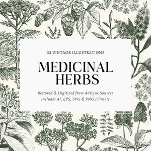 May include: A digital illustration featuring various medicinal herbs in a vintage style. The image includes the text "MEDICINAL HERBS" and "32 VINTAGE ILLUSTRATIONS". The illustrations are restored and digitized from antique sources and include AI, EPS, SVG & PNG formats.