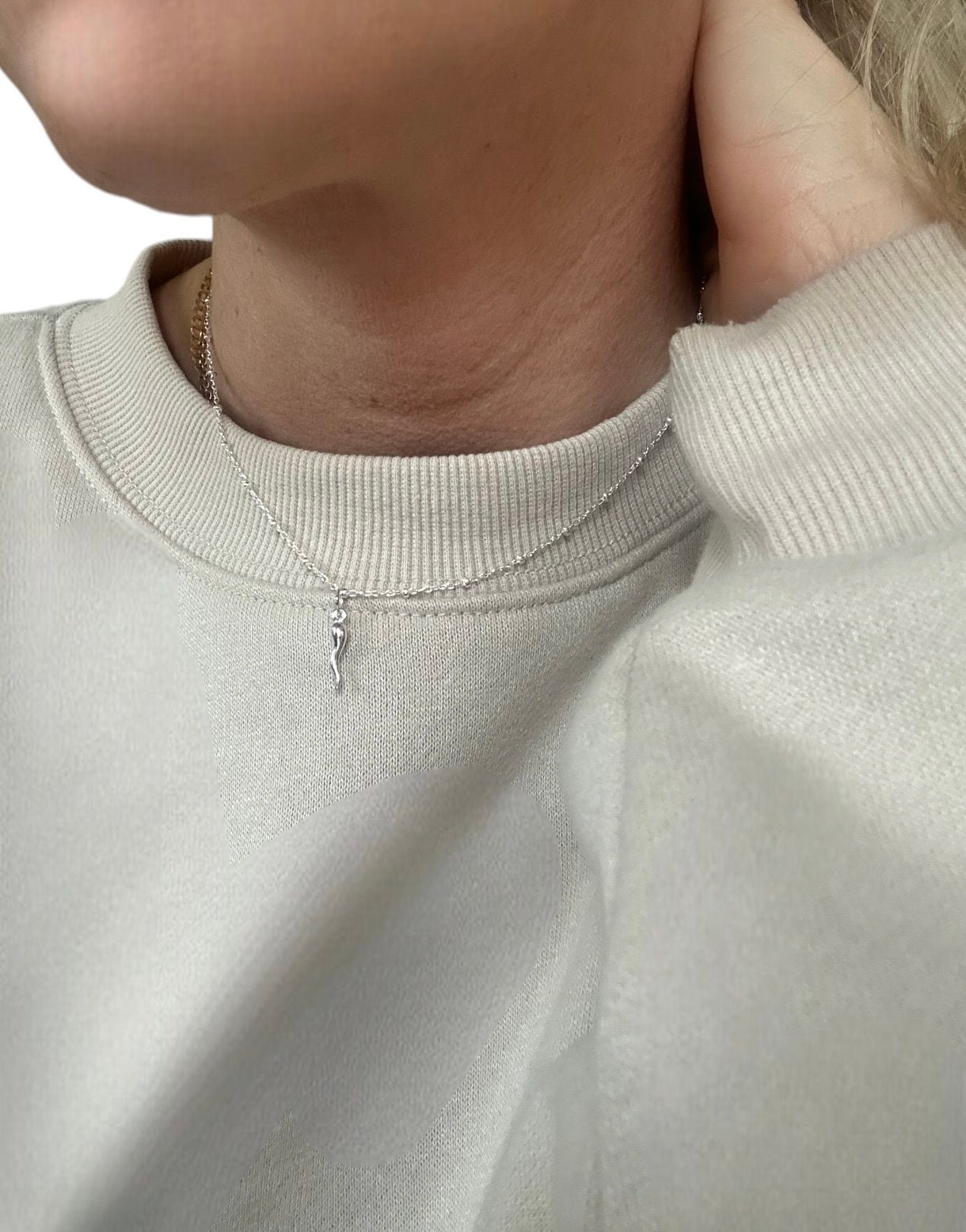 HORNETS NECKLACE - SILVER