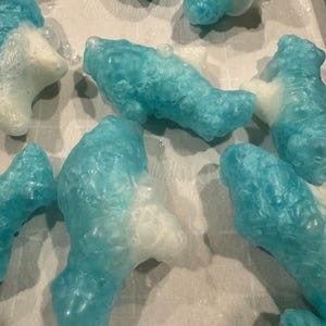 Gummy Sharkz