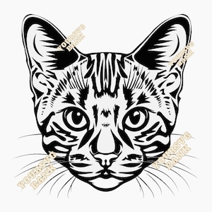Bengal Cat SVG & PNG | Digital Art for Crafts and DIY Projects