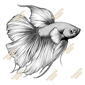 Betta Fish SVG & PNG Digital Art | High-Quality Siamese Fighting Fish Clipart