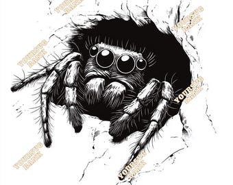 Jumping Spider SVG & PNG Bundle: Digital Art Files