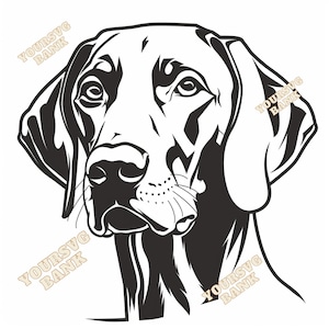 Vizsla SVG & PNG Bundle - Premium Digitale Dateien zum Basteln und Designen