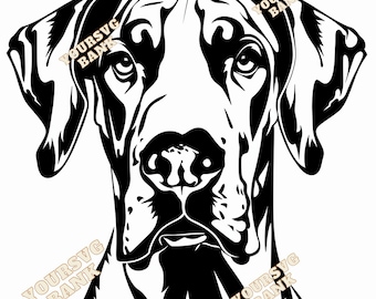 Dane SVG – Elegant Dog Breed Art, Digital Files (PNG, SVG