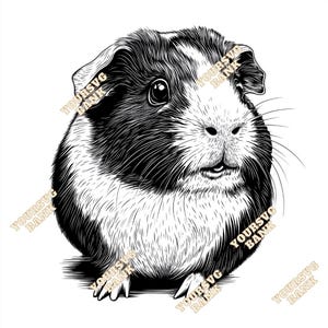 American Guinea Pig SVG & PNG Digital Art | High-Quality Pet Clipart