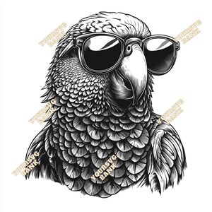 Pacchetto di clipart di pappagallo con occhiali da sole: 2 file PNG e 2 file SVG