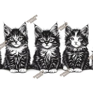 Adorables chatons Maine Coon SVG et PNG | Adorable oeuvre d'art numérique pour gravure laser, scrapbooking, impression de vêtements et plus encore