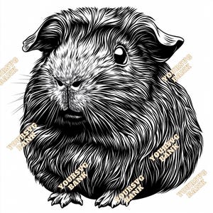 Abyssinian Guinea Pig SVG & PNG Digital Art | High-Quality Pet Clipart