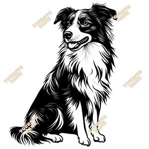 Collie Dog Digital Art - High-Resolution SVG & PNG Files for Pet Lovers - Elegant Collie Portrait Design