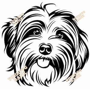 Havanese Dog SVG & PNG Bundle: Digital Art Files