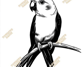 Paquete de imágenes SVG y PNG de agapornis: archivos de arte digital para manualidades